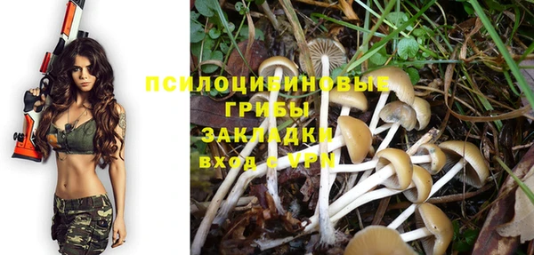 крисы Алзамай