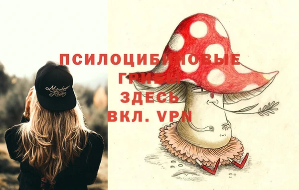 наркотики Алексин